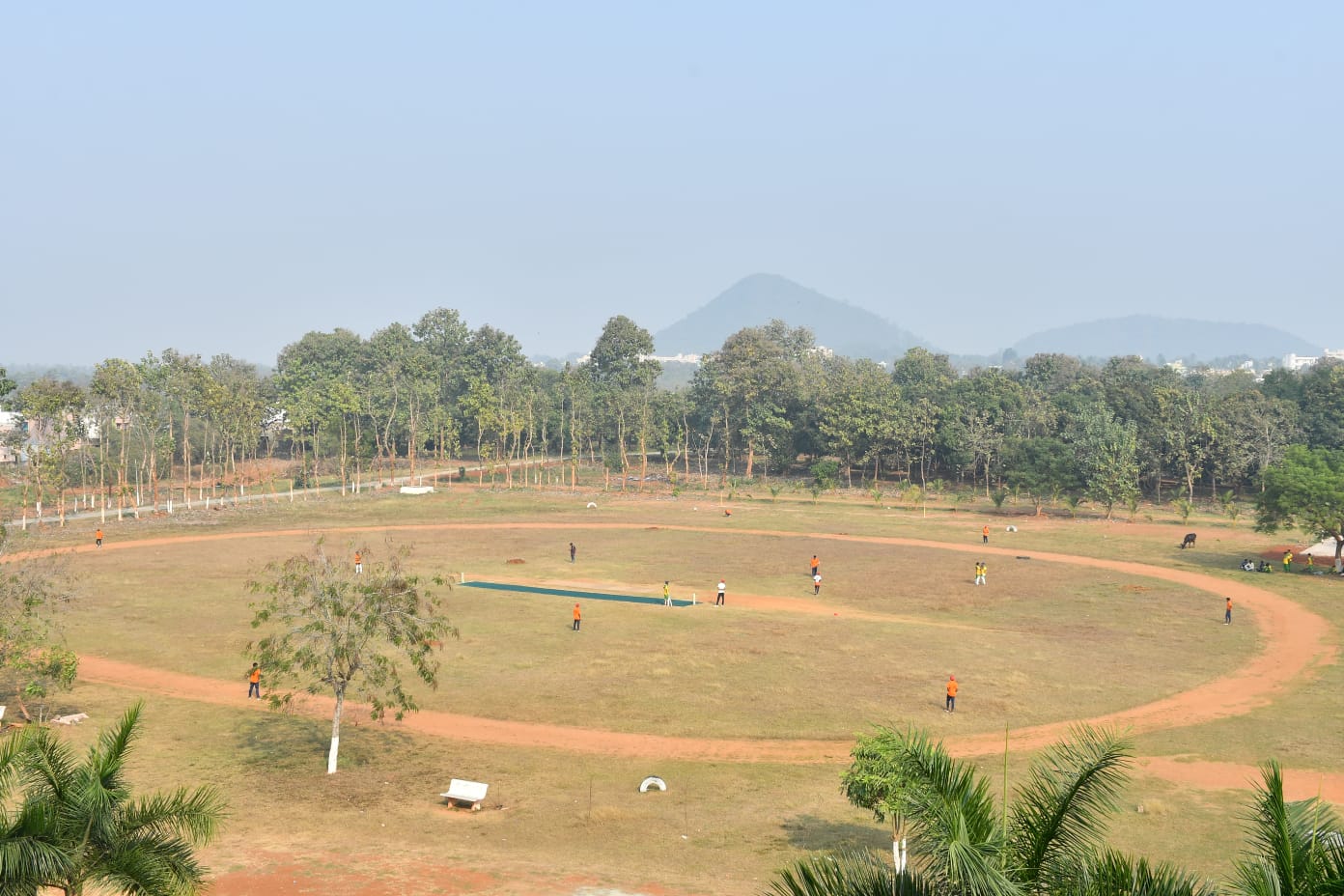 Students enjoying meals together
